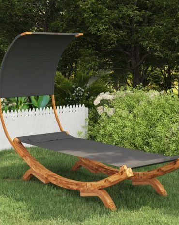 Hammock with Canopy 100x216x162cm Solid Bent Wood Anthracite