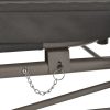 Outdoor Convertible Swing Bench with Canopy Anthracite 220x160x240 cm Steel